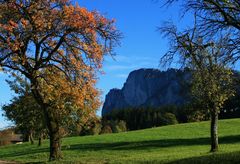 Herbstbaum