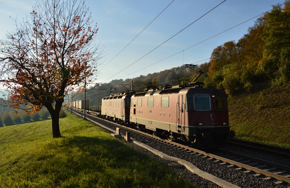 Herbstbaum