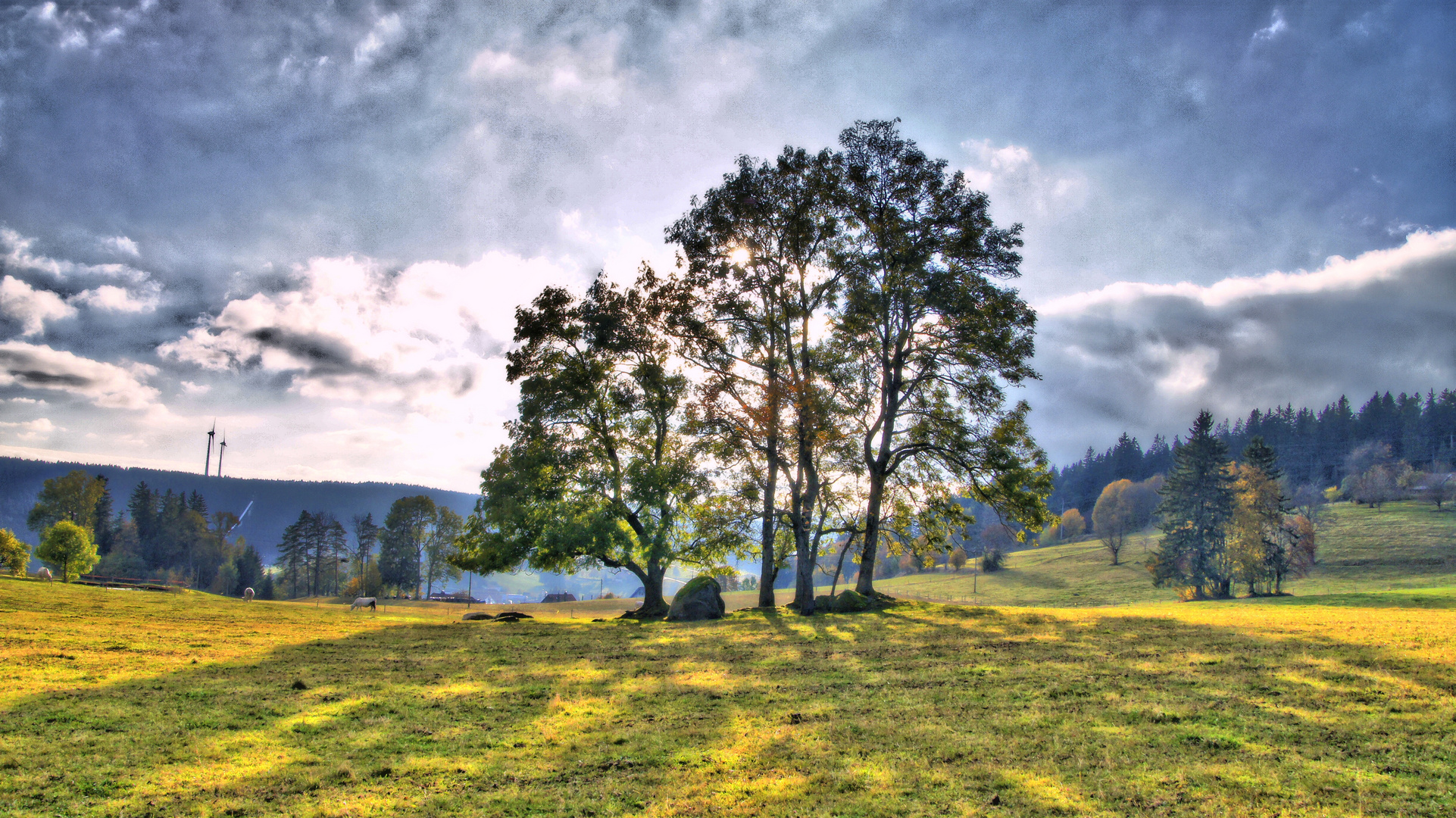 Herbstbaum