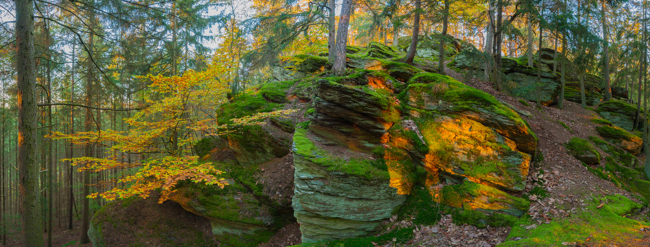 Herbstbaum im Fels