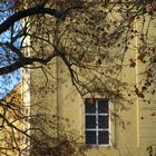 Herbstbaum vor der Kirche