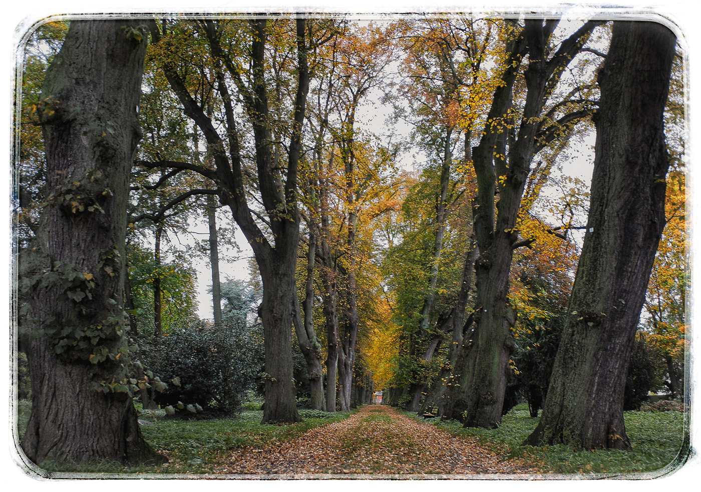 Herbstbegegnung