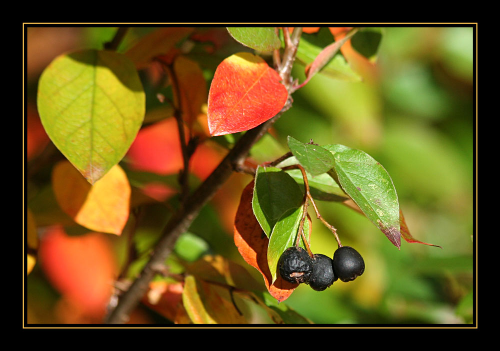 Herbstbeginn