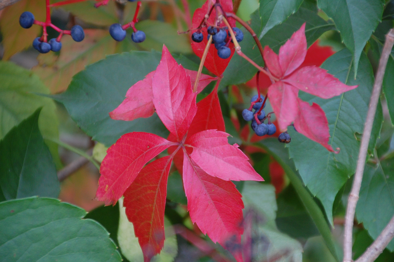 Herbstbeginn