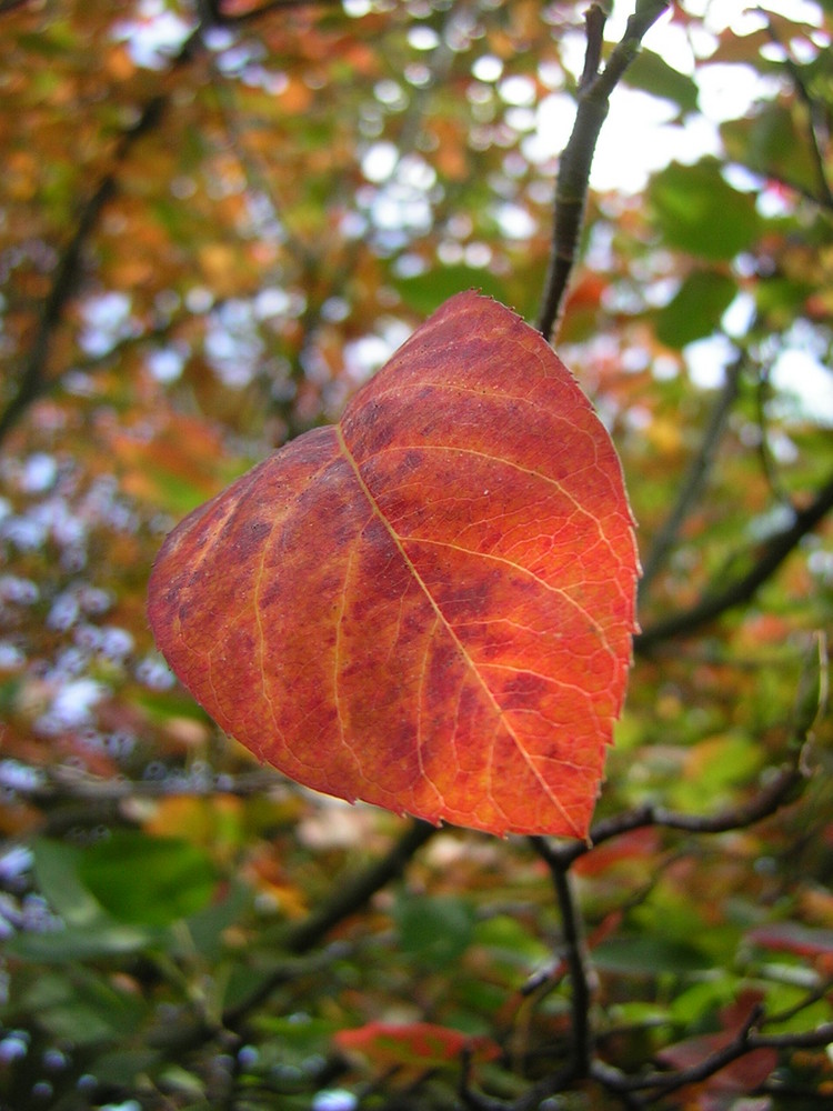 Herbstbeginn