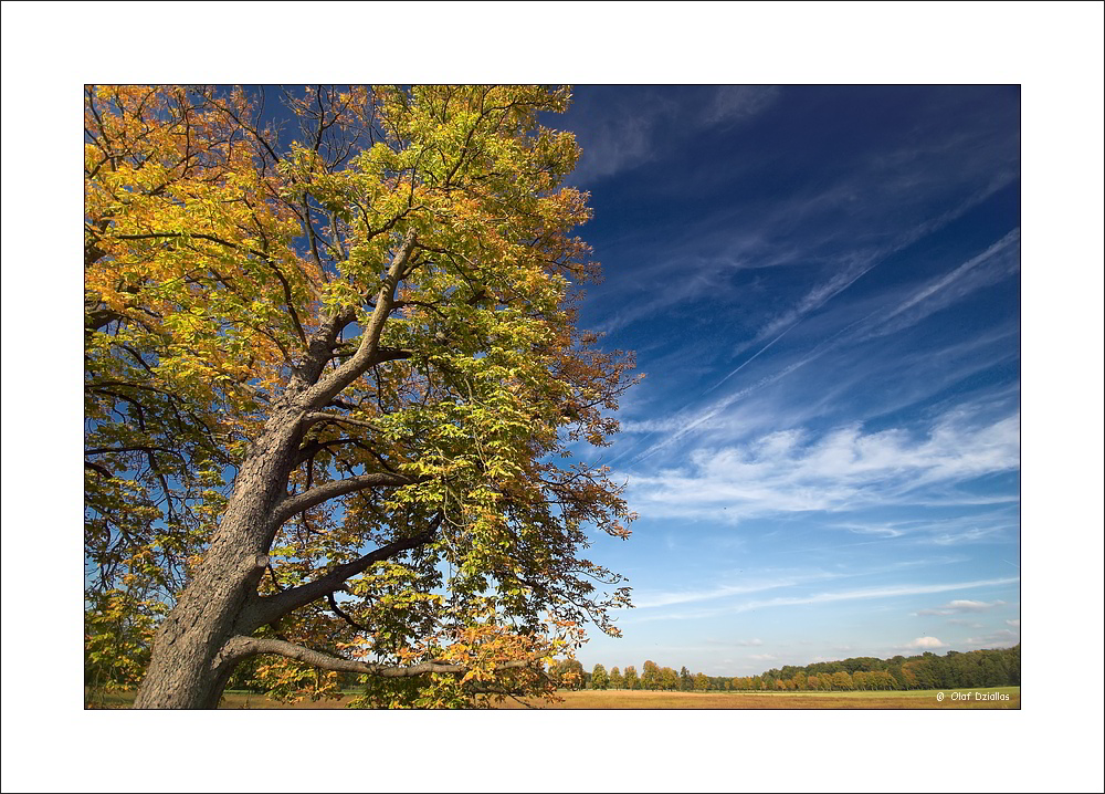 Herbstbeginn (2)