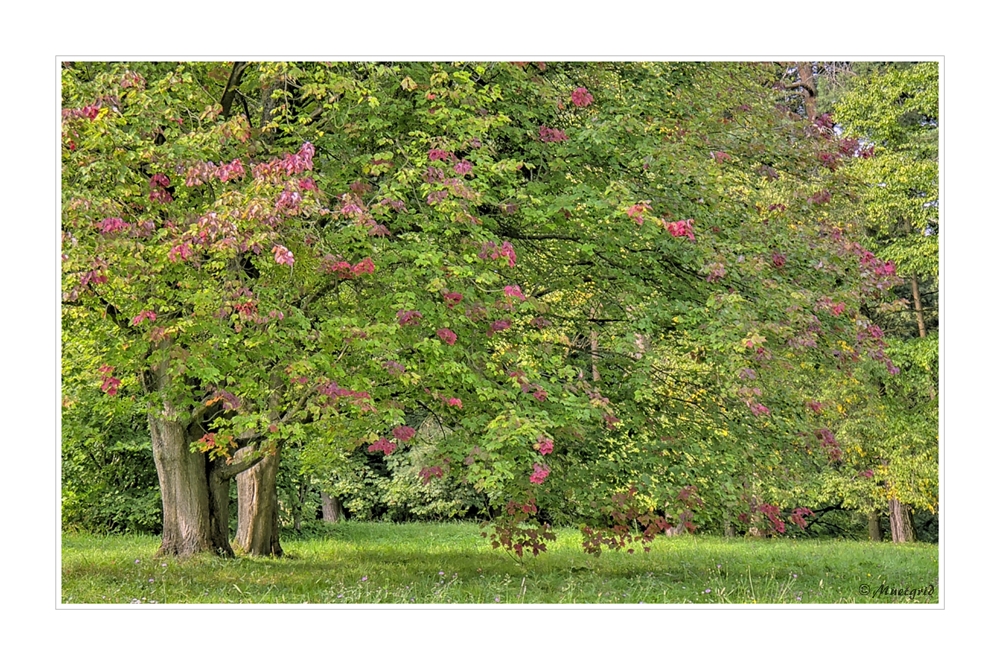 ~ Herbstbeginn 2014 ~