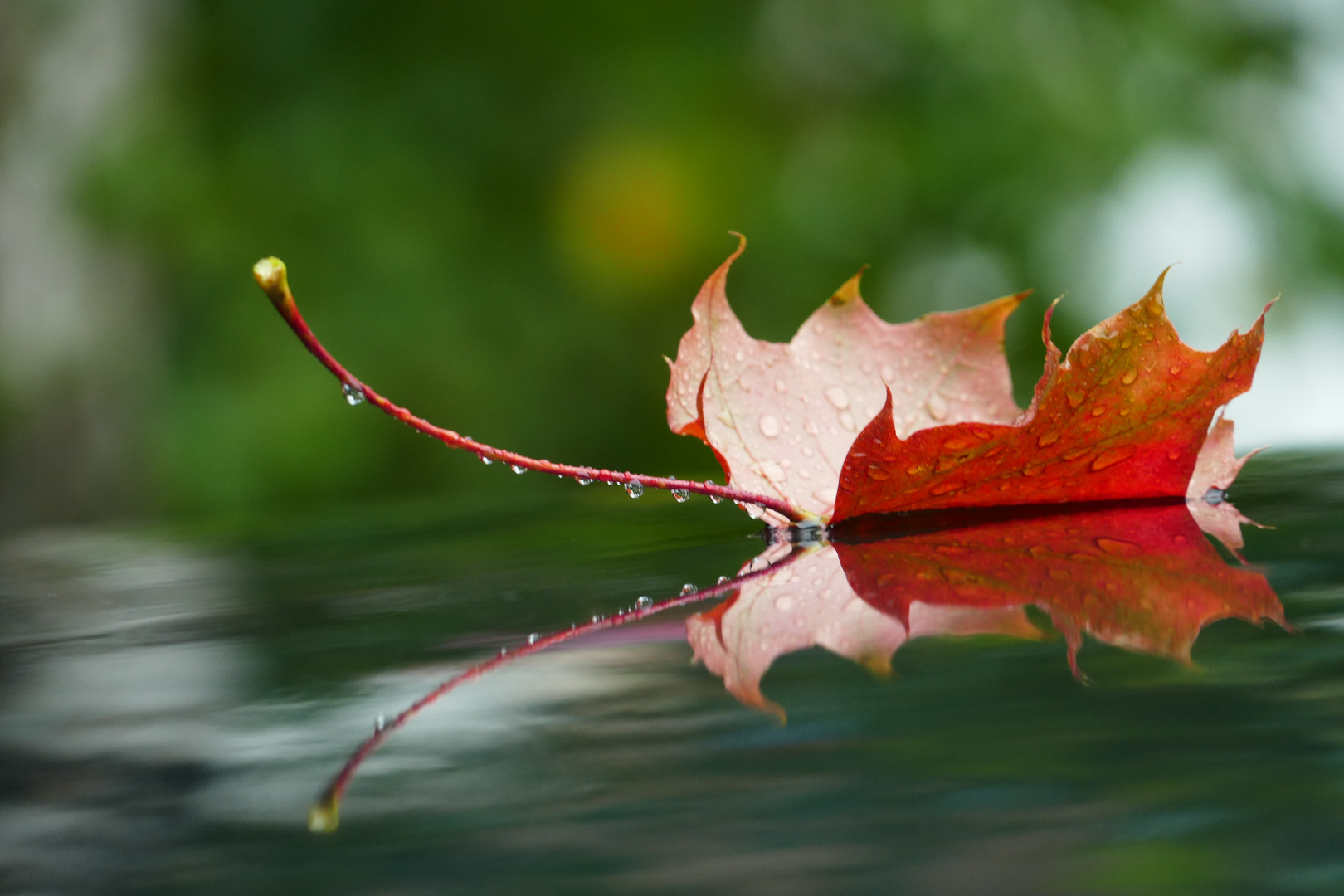 Herbstbeginn