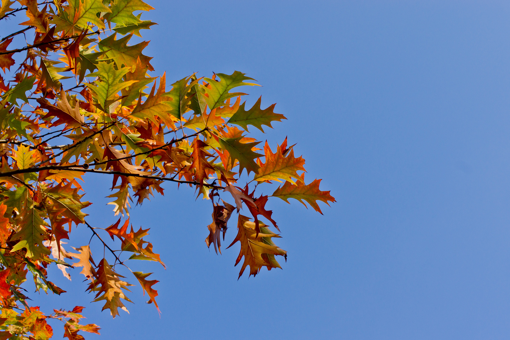 Herbstbeginn