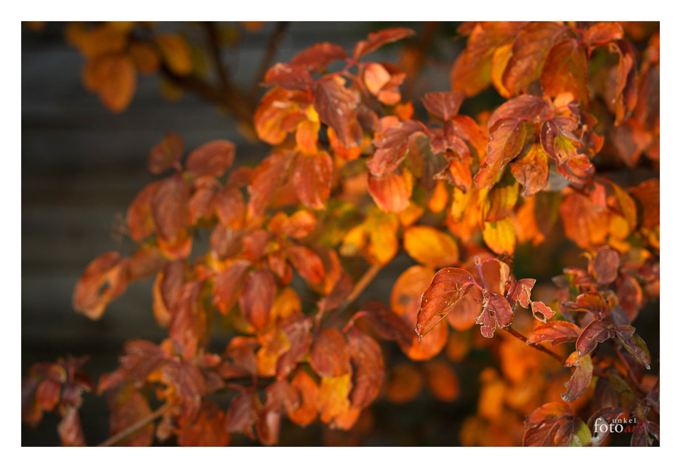 Herbstbeginn