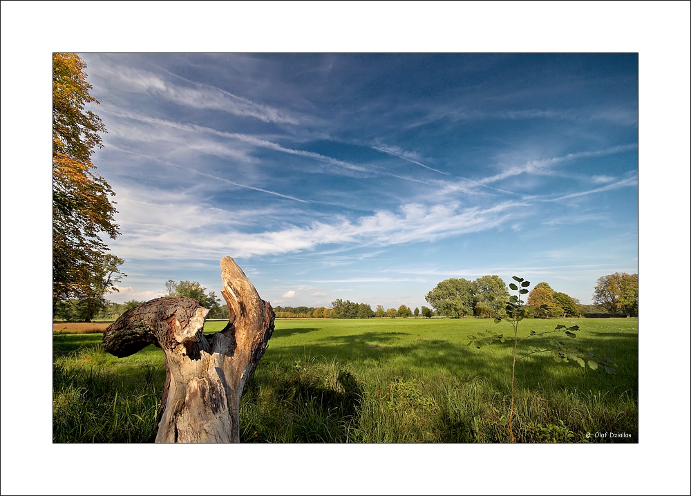 Herbstbeginn (4)