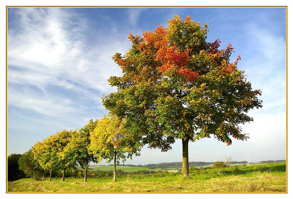 Herbstbeginn