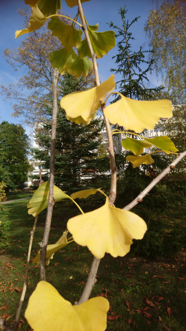 Herbstbeginn 