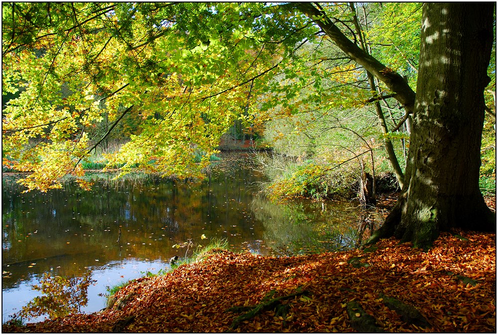 Herbstbeginn