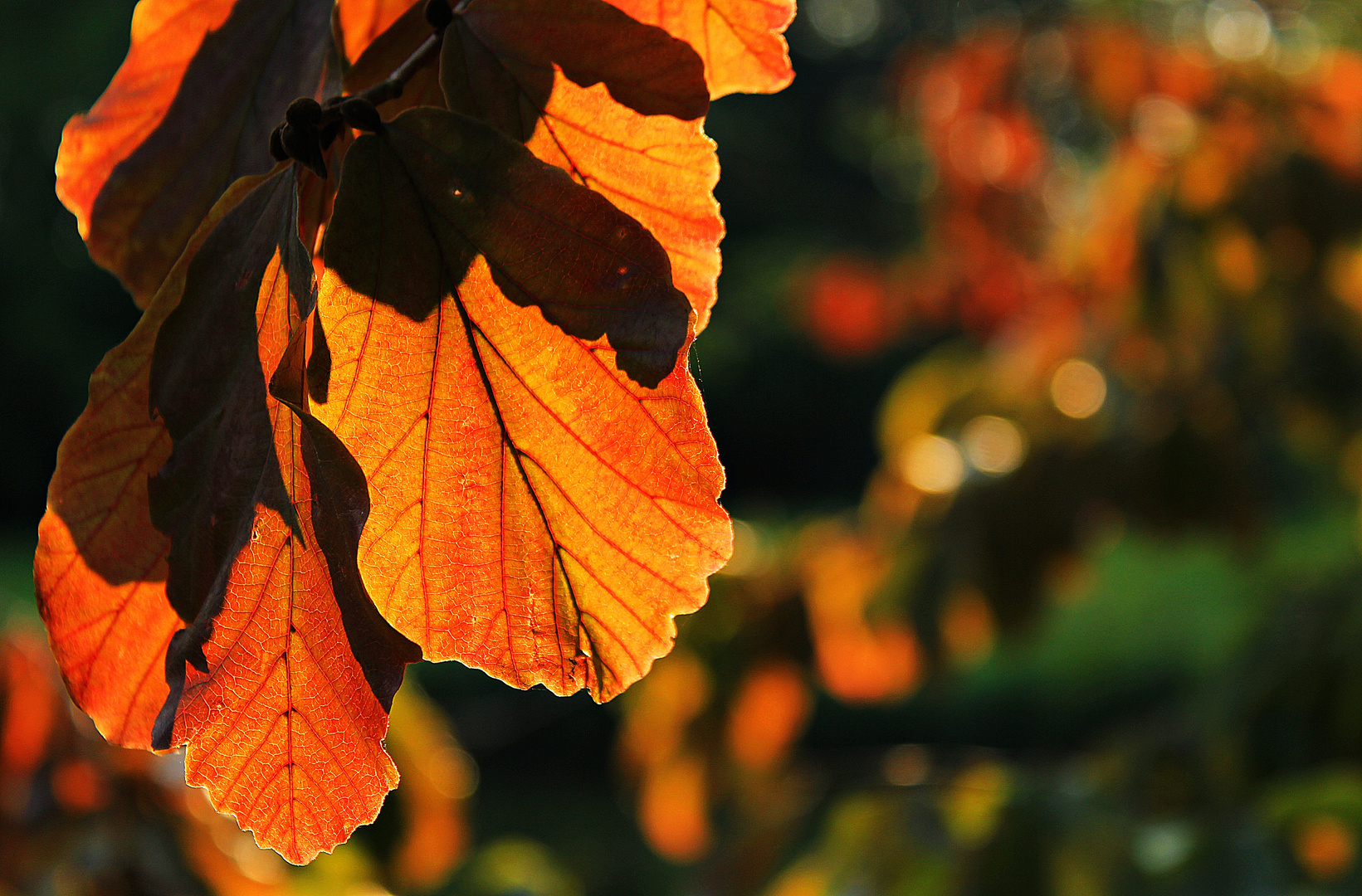 Herbstbeginn