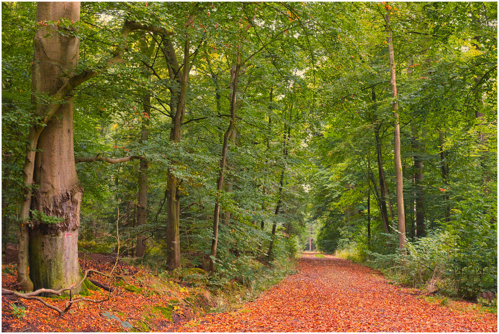 Herbstbeginn