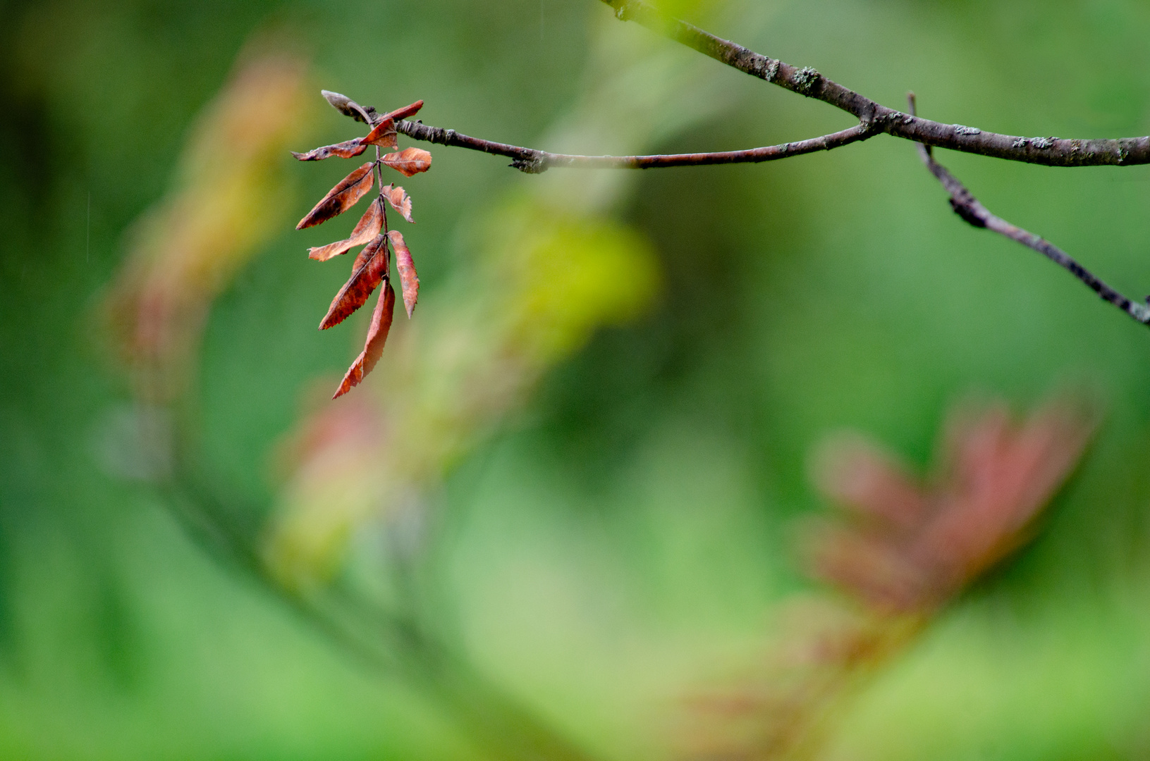 Herbstbeginn