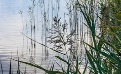 Herbstbeginn am Barther Bodden