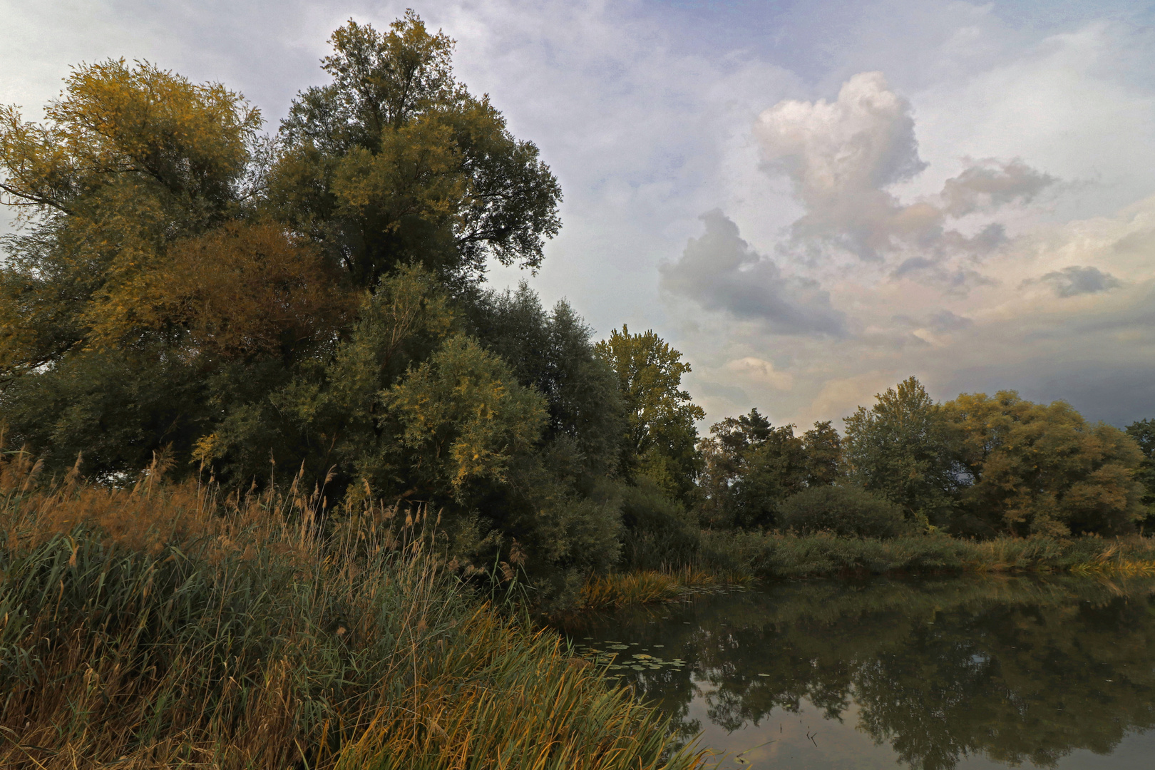 Herbstbeginn am Dowesee Foto & Bild landschaften, wasser, bäume