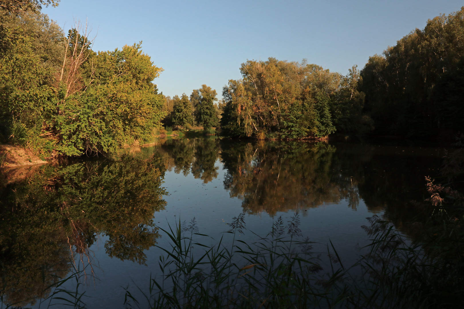 Herbstbeginn am Großen Teich