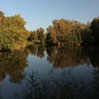 Herbstbeginn am Großen Teich