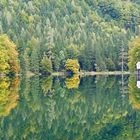 Herbstbeginn am Hinteren Langbathsee