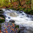 Herbstbeginn am Holzbach