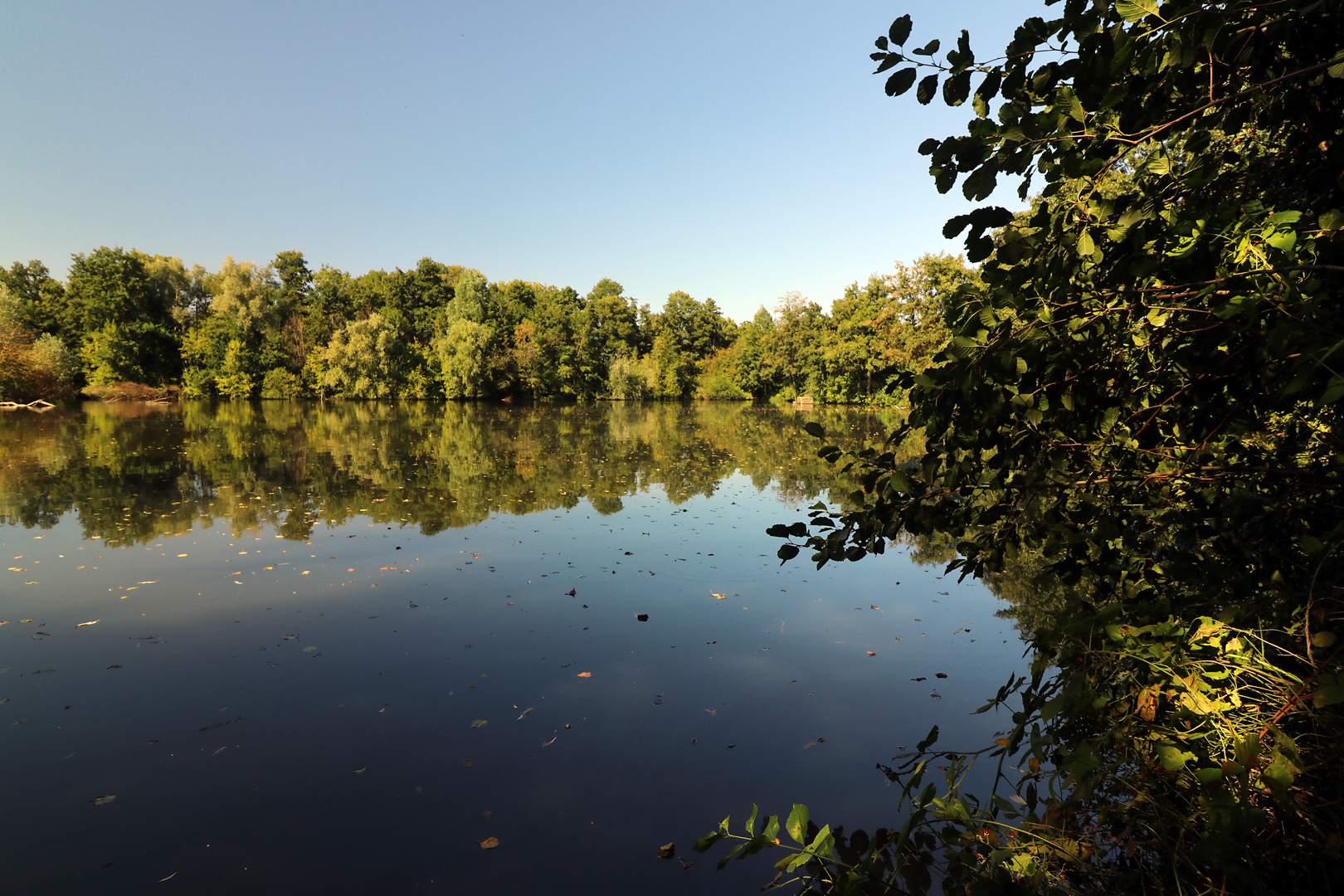 Herbstbeginn am Teich