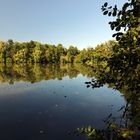 Herbstbeginn am Teich