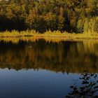 Herbstbeginn am Waldsee