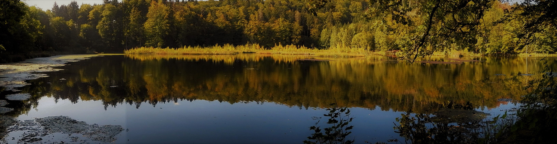 Herbstbeginn am Waldsee