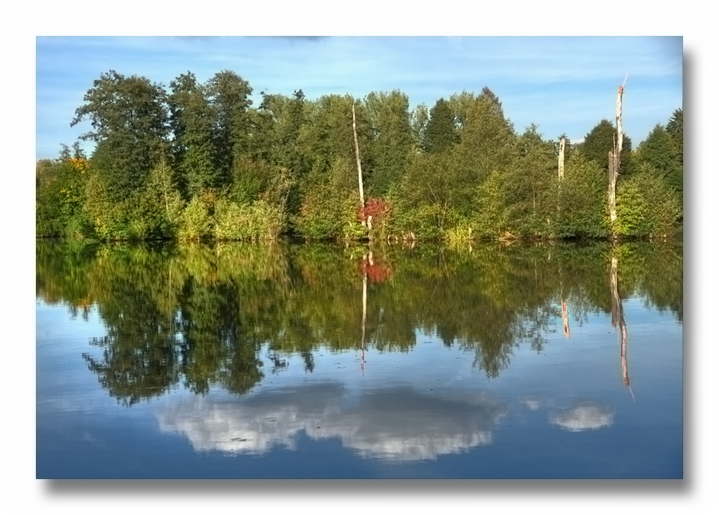 Herbstbeginn am Weiher