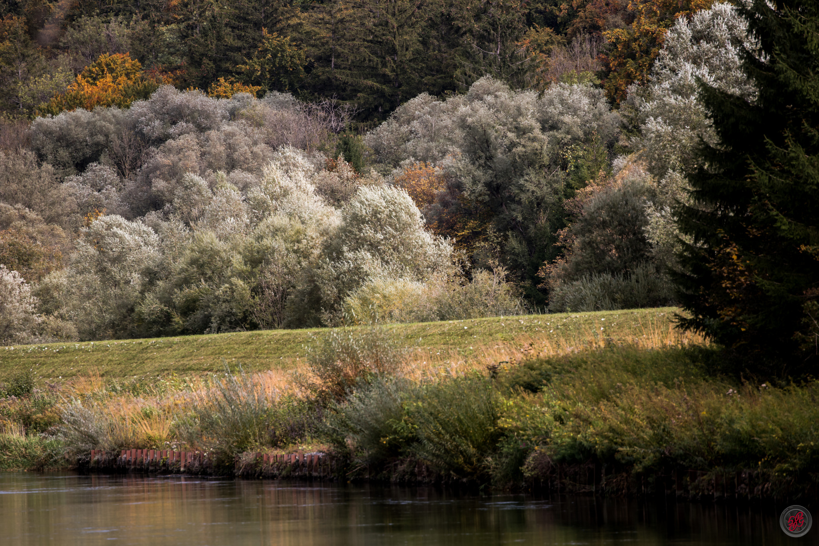 Herbstbeginn an der Isar in Grünwald