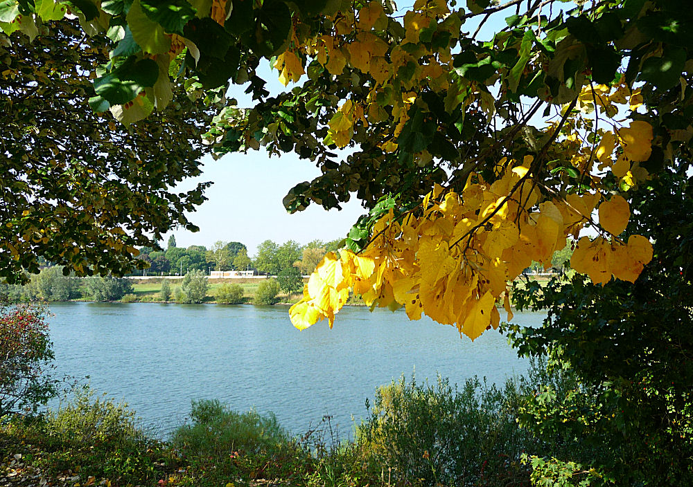 Herbstbeginn an der Maas in Venlo