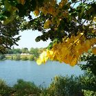 Herbstbeginn an der Maas in Venlo