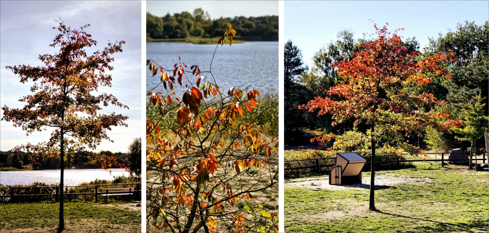 Herbstbeginn an meinem Lieblingssee