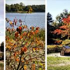 Herbstbeginn an meinem Lieblingssee