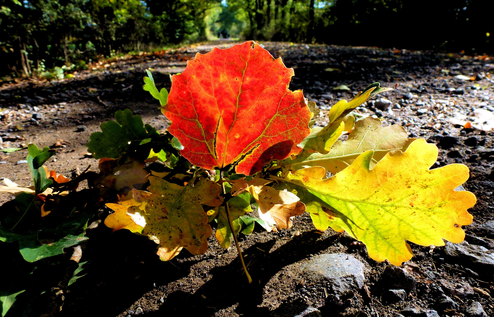 Herbstbeginn