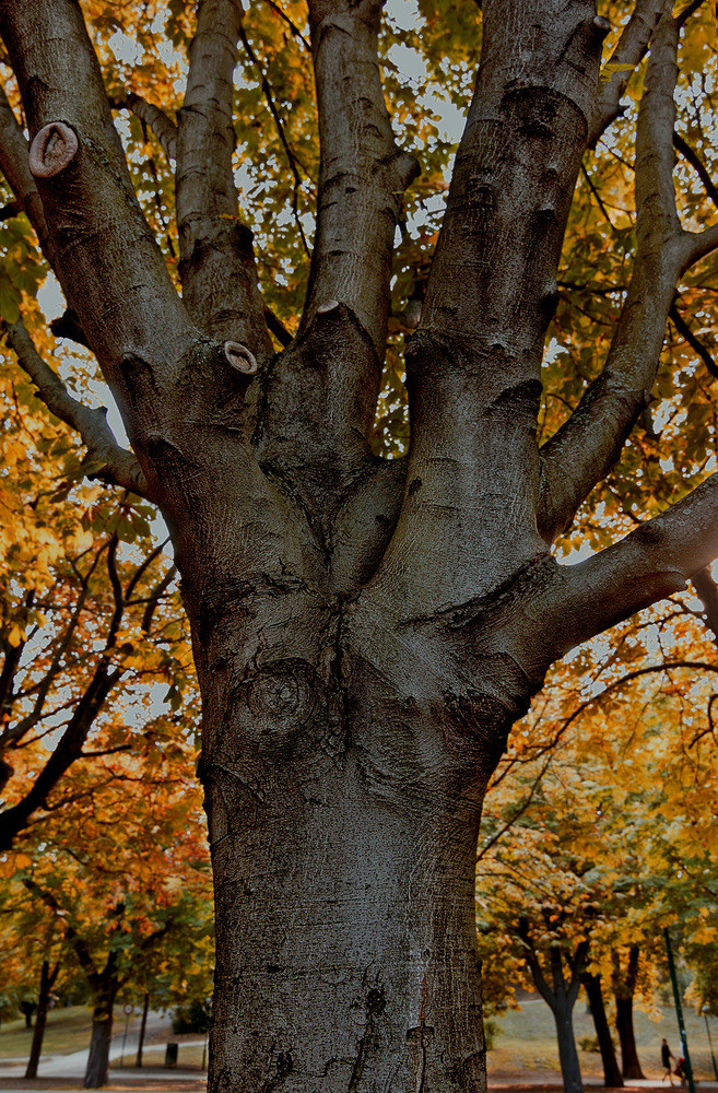 Herbstbeginn