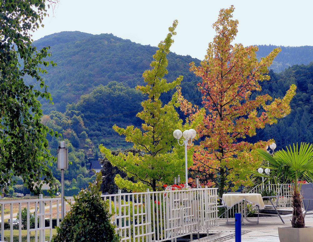 Herbstbeginn im Ahrtal