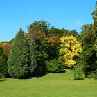 Herbstbeginn im Altensteiner Landschaftspark bei Bad Liebenstein