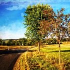 Herbstbeginn im Eichsfeld 