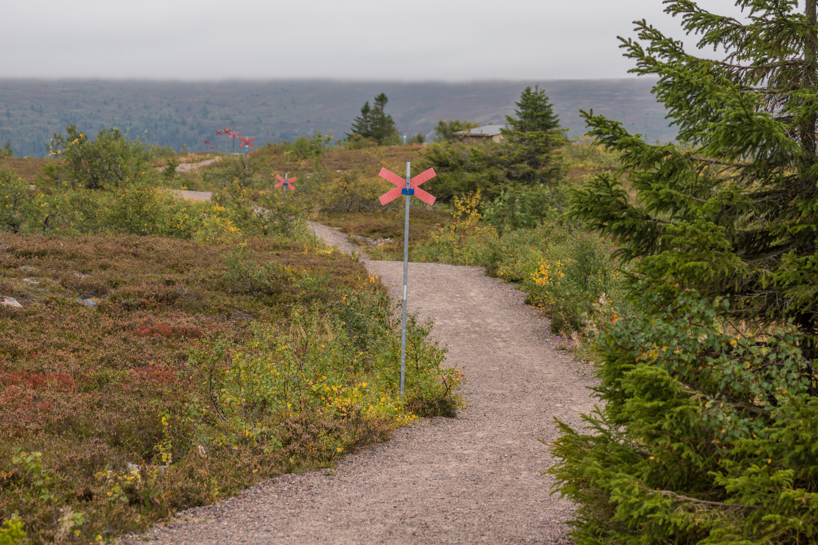 Herbstbeginn im Fjäll