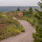 Herbstbeginn im Fjäll