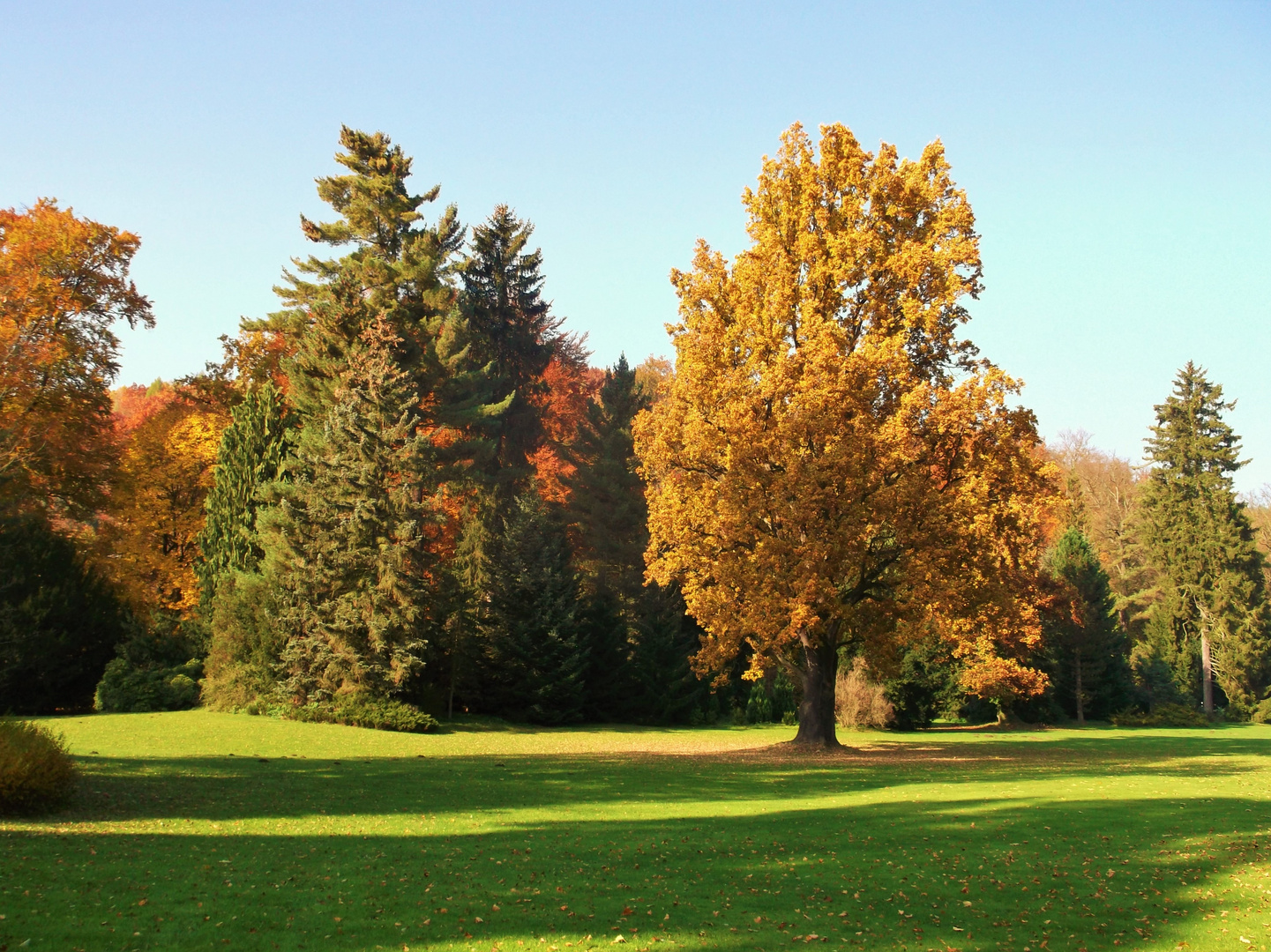 Herbstbeginn im Park