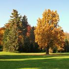 Herbstbeginn im Park