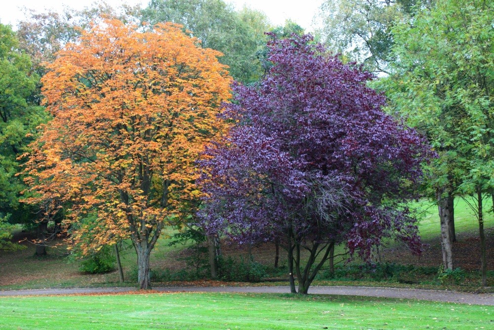 Herbstbeginn im Park