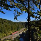 Herbstbeginn im Pegnitztal