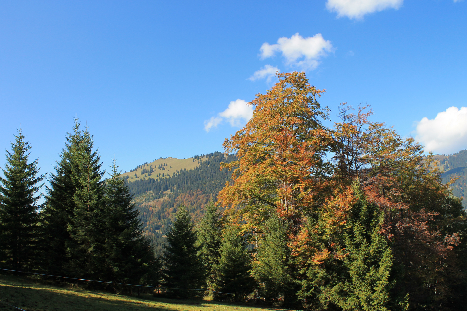 Herbstbeginn im Tannheimer Tal