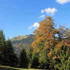 Herbstbeginn im Tannheimer Tal